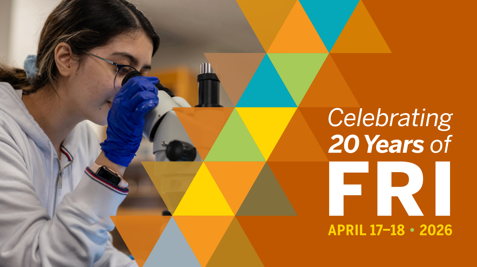 Celebrating 20 Years of FRI